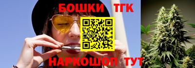 индика Рыбинск