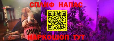 индика Рыбинск