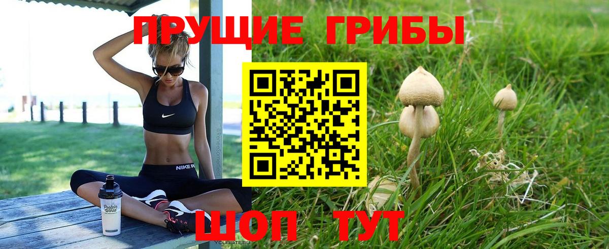 Тимашёвск  Псилоцибиновые грибы MAGIC MUSHROOMS  Псилоцибиновые грибы ЛСД  Вход с VPN 