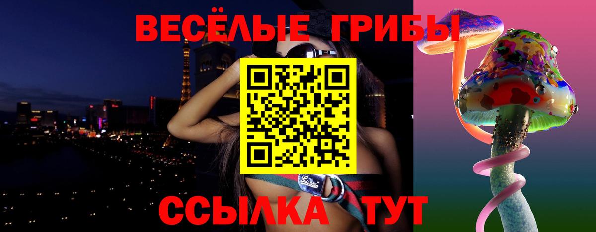Галлюциногенные грибы прущие грибы Тимашёвск